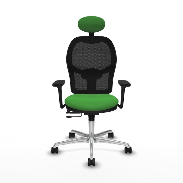 PIQUERAS Y CRESPO Silla de oficina Jorquera con mecanismo Sincro/Traslack, Verde y Negro PIQUERAS Y CRESPO Silla de oficina Jorquera con mecanismo Sincro/Traslack, Verde y Negro