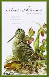 MUNDIPRENSA, Aves de Asturias, ARCE VELASCO, LUIS MARIO