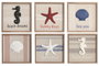 DKD Home Decor Cuadro MDF Resina 25x2,5x25 Marino 3D Surtido de 6