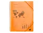 Liderpapel Carpeta escaparate con espiral 60 fundas polipropileno naranja DIN A4