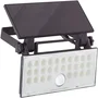 Brilliant Aplique de exterior LUTON BRI4004353437793 LED y Solar con Detector de Movimiento en Negro