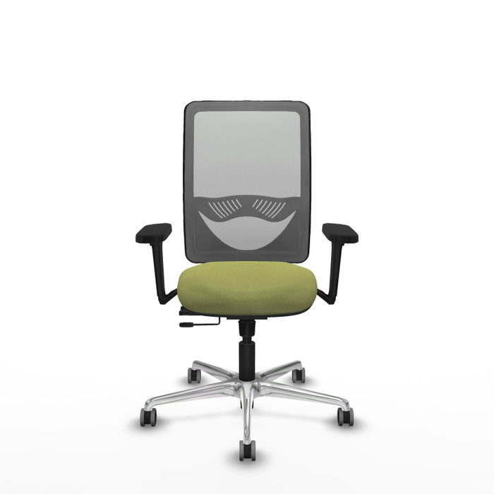 PIQUERAS Y CRESPO Silla de oficina Zulema con mecanismo Sincro/Traslack, Verde oliva y Gris