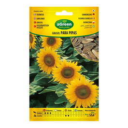 Agreen 301024bolsh Sobre con semillas de girasol para pipas variedad híbrida para consumo cascará blanca con rayas oscuras
