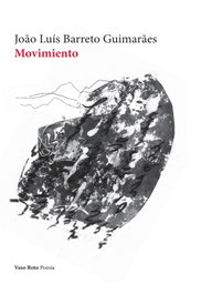 Movimiento, Joao Luis Barreto Guimeraes - VASO ROTO