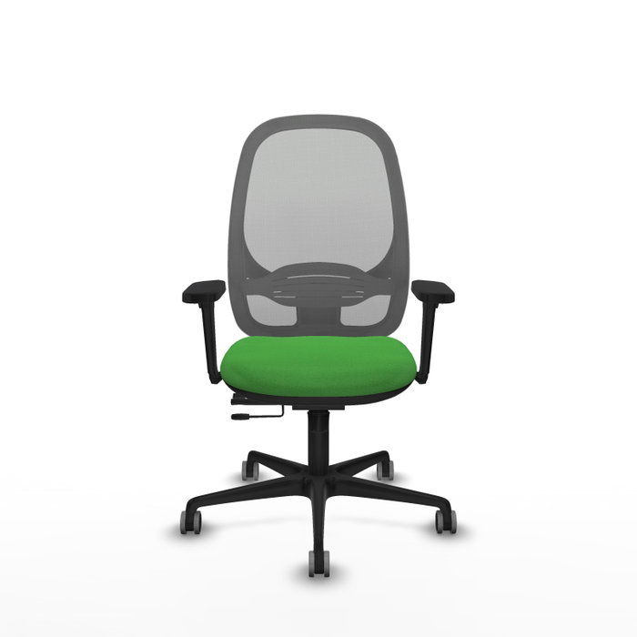 PIQUERAS Y CRESPO Silla de oficina Cilanco con mecanismo Sincro/Traslack, Verde y Gris PIQUERAS Y CRESPO Silla de oficina Cilanco con mecanismo Sincro/Traslack, Verde y Gris