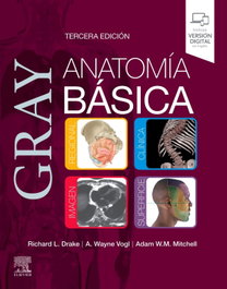 Elsevier Editorial Gray Anatomia Basica