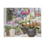 GARDENA Pulverizador de bomba 1 L