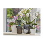 GARDENA Pulverizador de bomba 1 L