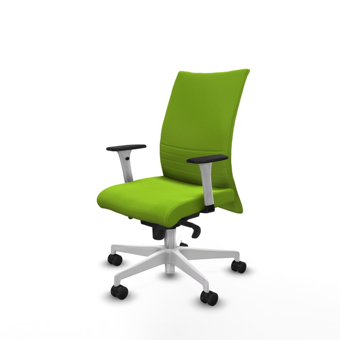 PIQUERAS Y CRESPO Silla Albacete Confidente Pistacho con Mecanismo Sincro y Brazos 1D PIQUERAS Y CRESPO Silla Albacete Confidente Pistacho con Mecanismo Sincro y Brazos 1D