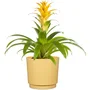 Garden Id Maceta redonda Ø 25 cm, 7 litros, H 22 cm, Color Amarillo - 695778