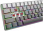 White Shark Nunchaku Teclado Gaming con Red Switch Gradient y RGB