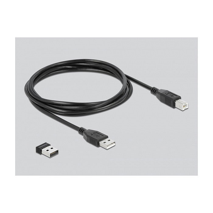 DeLOCK Lector de códigos de barras portátil 1D y 2D, Conexión USB/Bluetooth/2.4 GHz Inalámbrico, Resolución 752x480 píxeles, Batería recargable