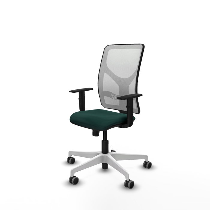 PIQUERAS Y CRESPO Silla de oficina Motilla con mecanismo Sincro Verde botella y Blanco PIQUERAS Y CRESPO Silla de oficina Motilla con mecanismo Sincro Verde botella y Blanco
