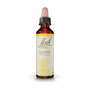 Bach Original Gorse (Aulaga) Nº13 20 ml