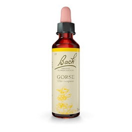 Flores Bach Original - Flores de Bach Gorse Aulaga - 20 ml