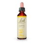 Bach Original Gorse (Aulaga) Nº13 20 ml