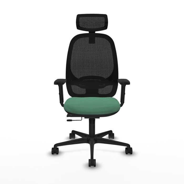 PIQUERAS Y CRESPO Silla de oficina Cilanco con mecanismo Sincro/Traslack Verde esmeralda PIQUERAS Y CRESPO Silla de oficina Cilanco con mecanismo Sincro/Traslack Verde esmeralda