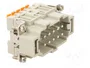 ILME CSHM 10 Conector HDC Macho de 10 Pines