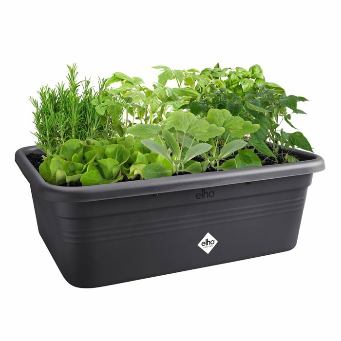 Elho Jardinera Green Basics Jardin De Cultivation L Negro Elho Jardinera Green Basics Jardin De Cultivation L Negro