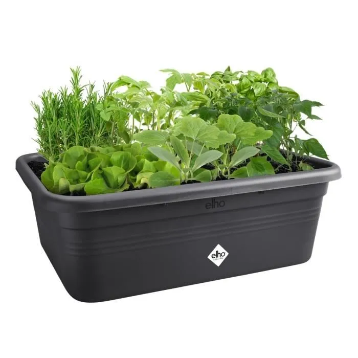 Elho Jardinera Green Basics Jardin De Cultivation L ELH8711904529581 - Negro - L 76 x B 57 x H 27 cm - 100% reciclado Elho Jardinera Green Basics Jardin De Cultivation L ELH8711904529581 - Negro - L 76 x B 57 x H 27 cm - 100% reciclado