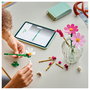 LEGO Botanicals Flores de Cosmos 11514