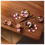 LEGO Botanicals Ramas de Magnolia 11510