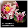 LEGO Botanicals Ramas de Magnolia 11510