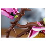 LEGO Botanicals Ramas de Magnolia 11510