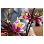 LEGO Botanicals Ramas de Magnolia 11510