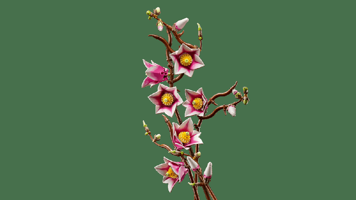 LEGO Botanicals Ramas de Magnolia 10309 - Set de Construcción para Adultos, Flores Decorativas