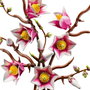 LEGO Botanicals Ramas de Magnolia 11510