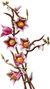 LEGO Botanicals Ramas de Magnolia 11510