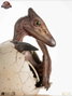 Jurassic Park III ECC Elite Creature Line Estatua Hatching Pterosaur 16 cm