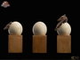 Jurassic Park III ECC Elite Creature Line Estatua Hatching Pterosaur 16 cm