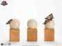 Jurassic Park III ECC Elite Creature Line Estatua Hatching Pterosaur 16 cm