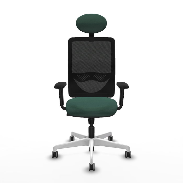 PIQUERAS Y CRESPO Silla de oficina Zulema con mecanismo Sincro, Verde botella y Negro PIQUERAS Y CRESPO Silla de oficina Zulema con mecanismo Sincro, Verde botella y Negro