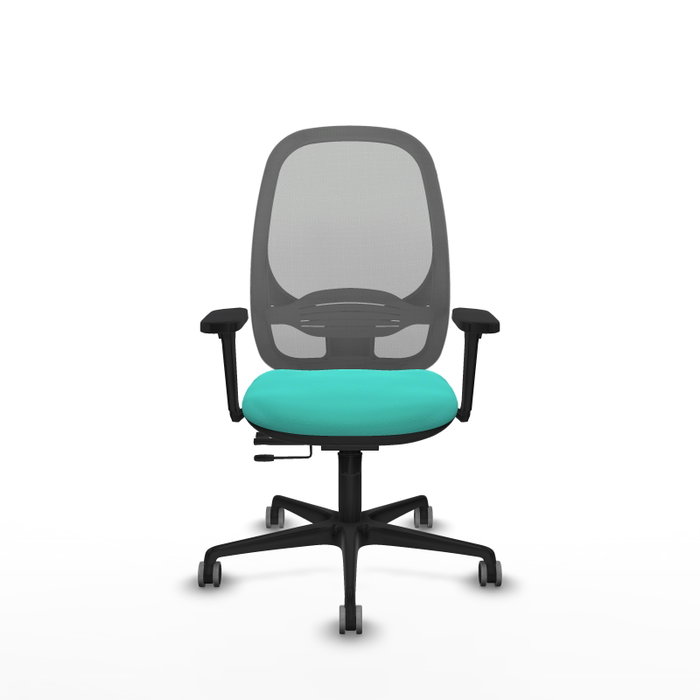PIQUERAS Y CRESPO Silla de oficina Cilanco con mecanismo Sincro/Traslack Turquesa y Gris PIQUERAS Y CRESPO Silla de oficina Cilanco con mecanismo Sincro/Traslack Turquesa y Gris