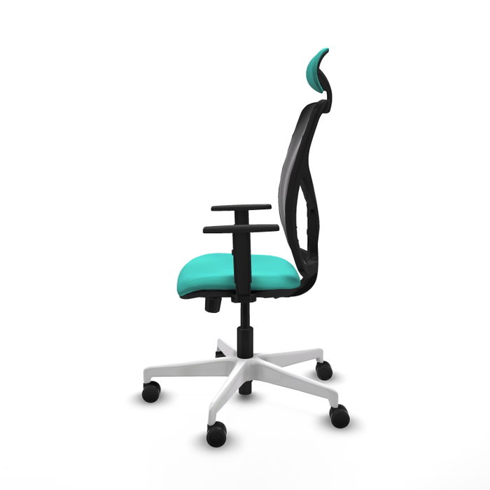 PIQUERAS Y CRESPO Silla de oficina Motilla con mecanismo Sincro/Traslack, Turquesa y Negro PIQUERAS Y CRESPO Silla de oficina Motilla con mecanismo Sincro/Traslack, Turquesa y Negro