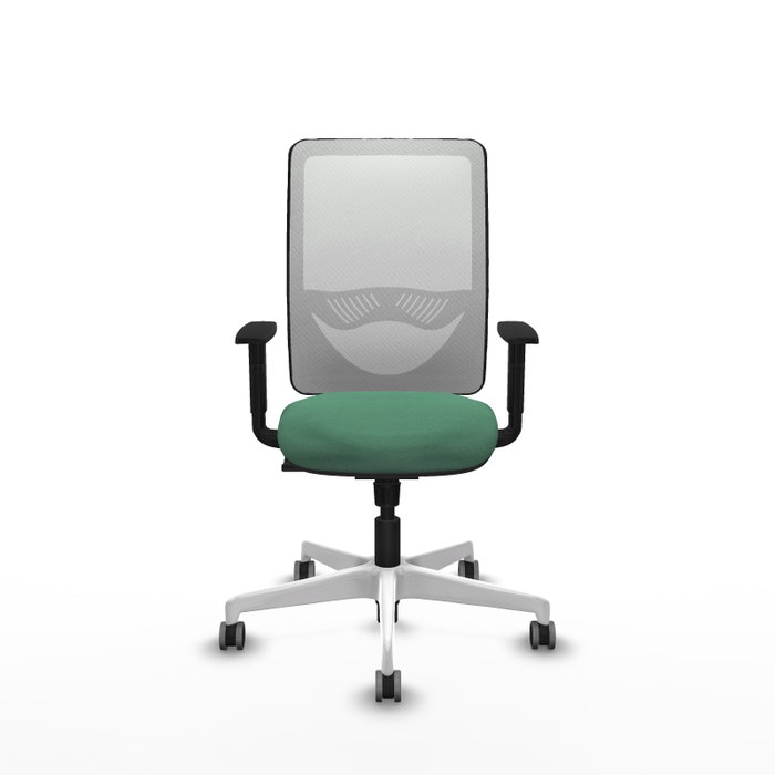PIQUERAS Y CRESPO Silla de oficina Zulema con mecanismo Sincro Verde esmeralda y Blanco PIQUERAS Y CRESPO Silla de oficina Zulema con mecanismo Sincro Verde esmeralda y Blanco