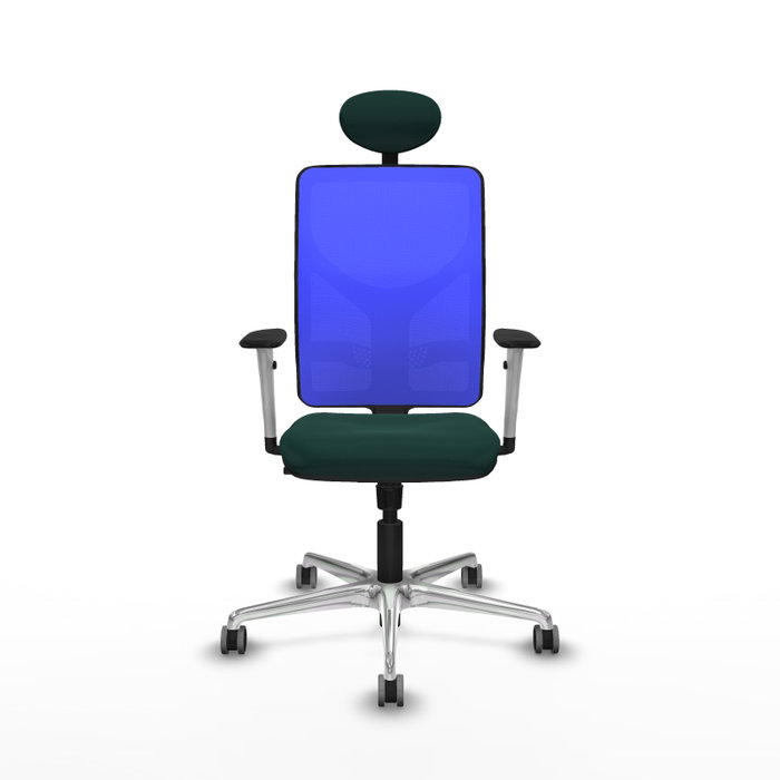 PIQUERAS Y CRESPO Silla de oficina Motilla con mecanismo Sincro, Verde botella y Azul PIQUERAS Y CRESPO Silla de oficina Motilla con mecanismo Sincro, Verde botella y Azul