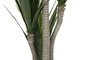 DKD Home Decor Planta de Yuca Verde PE 80x80x160 cm