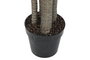 DKD Home Decor Planta de Yuca Verde PE 80x80x160 cm