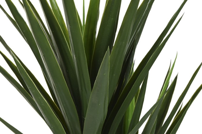 DKD Home Decor Planta de Yuca Verde PE 80x80x160 cm
