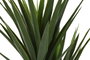 DKD Home Decor Planta de Yuca Verde PE 80x80x160 cm