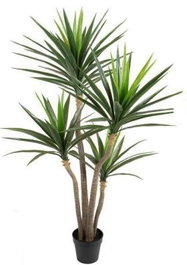 DKD Home Decor Planta de Yuca Verde PE 80x80x160 cm