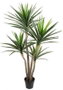 DKD Home Decor Planta de Yuca Verde PE 80x80x160 cm