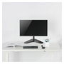 EWENT Soporte de Monitor para Escritorio EW1535, hasta 34 pulgadas, 9 kg, Negro