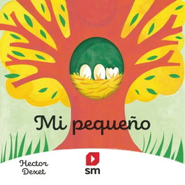 Mi pequeño, Héctor Dexet - SM