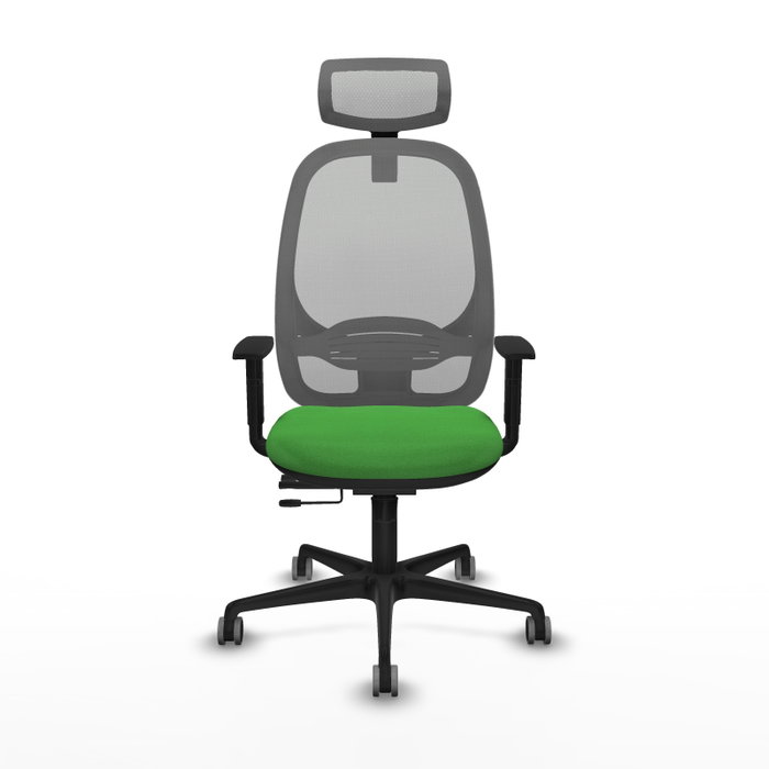 PIQUERAS Y CRESPO Silla de oficina Cilanco con mecanismo Sincro/Traslack, Verde y Gris PIQUERAS Y CRESPO Silla de oficina Cilanco con mecanismo Sincro/Traslack, Verde y Gris