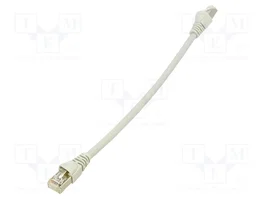 Telegärtner Cable Ethernet Cat6a S/FTP 0,25 m Gris